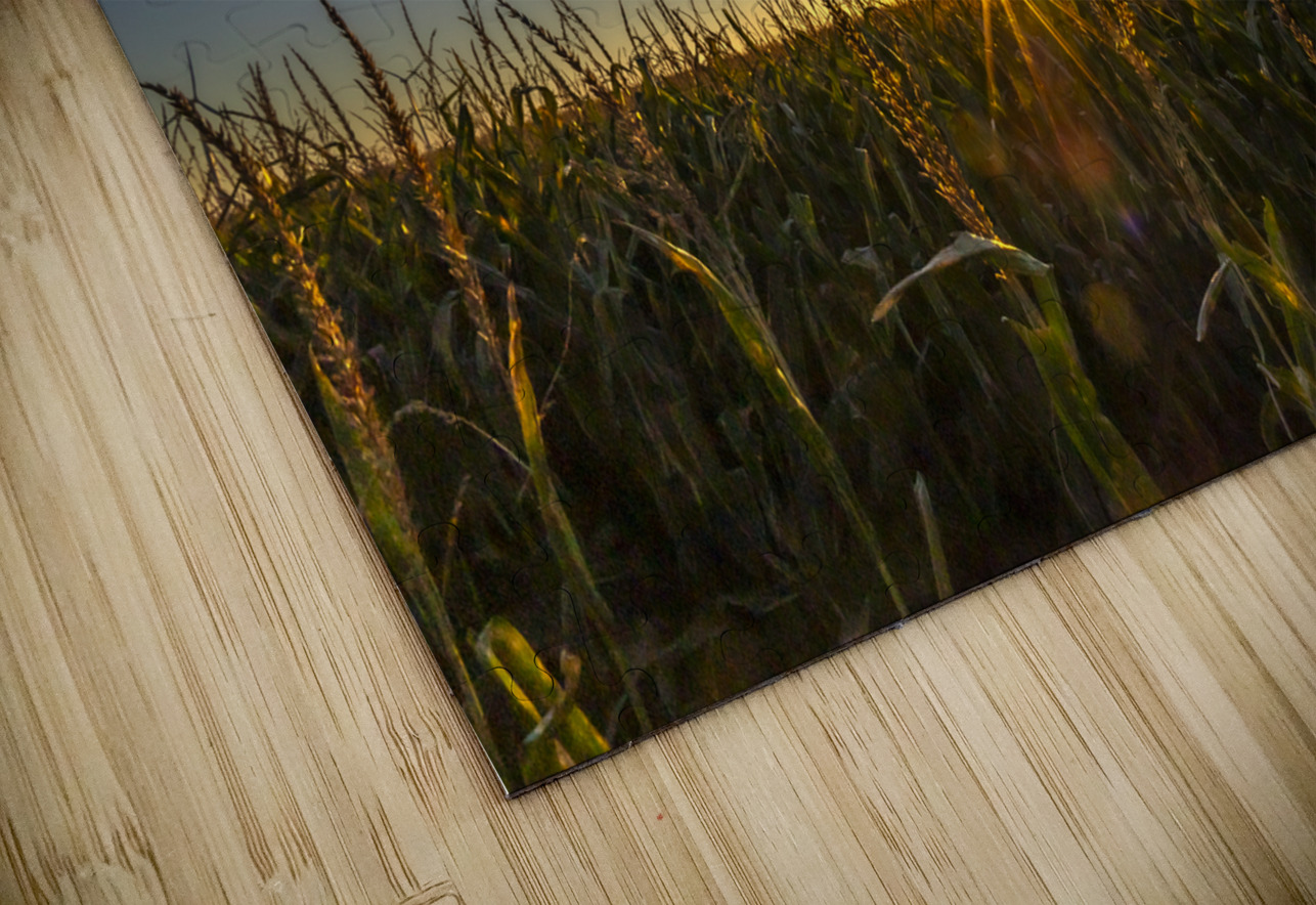 Sunset in the Cornfield Marc Gilbert Photography Puzzle