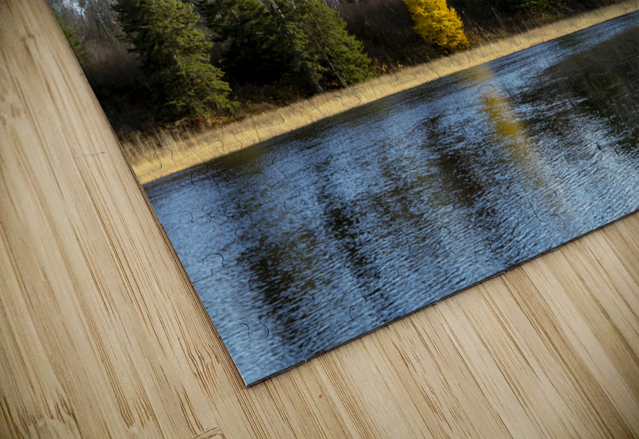 Lone Tamarack Tree Reflection Marc Gilbert Photography Puzzle