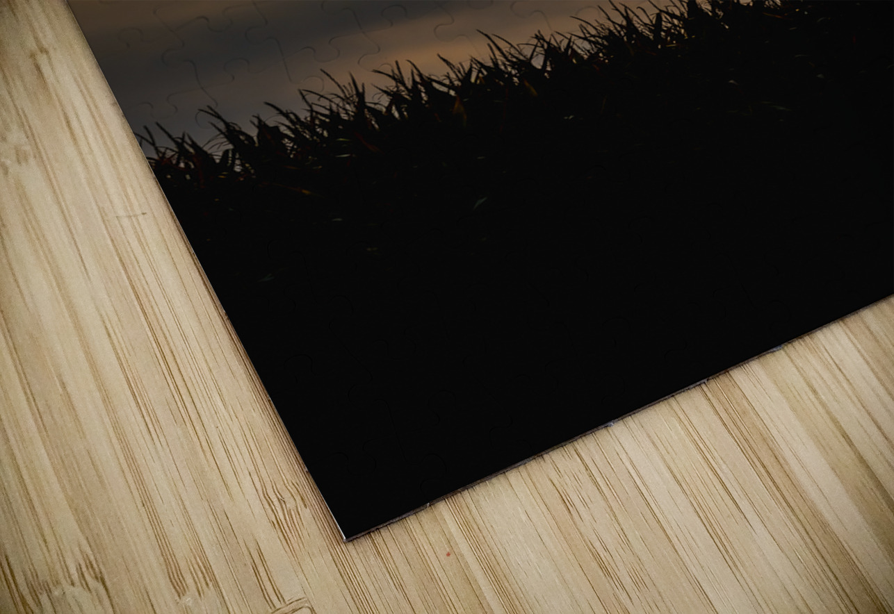 Hazy Sunrise Above Corn Field Marc Gilbert Photography Puzzle