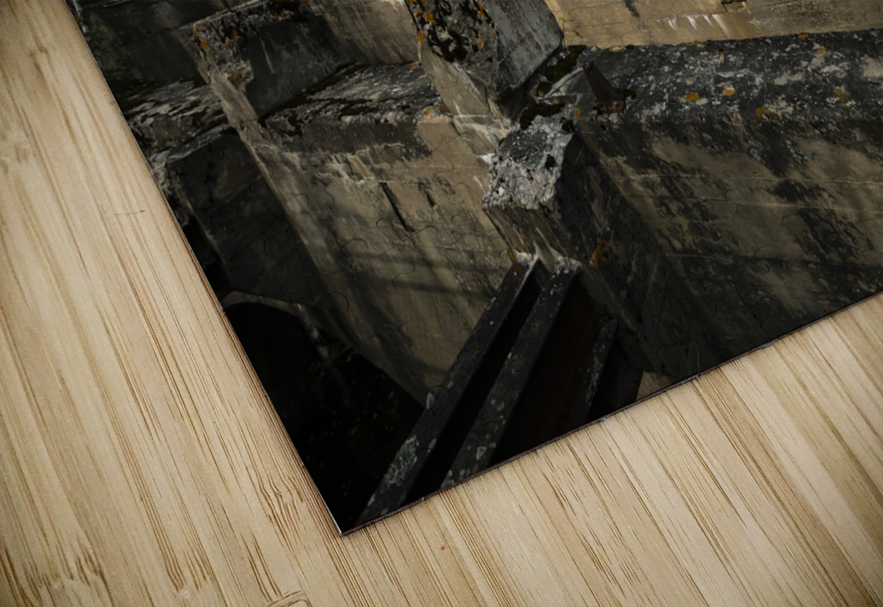 Amongst the Ruins Marc Gilbert Photography Puzzle