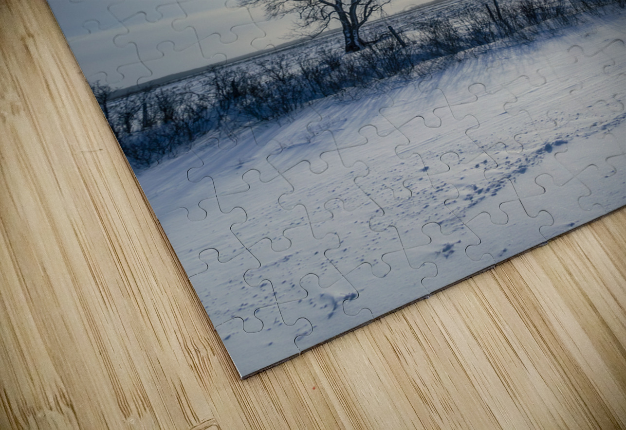 Sundogs Behind Lone Trees Marc Gilbert Photography Puzzle