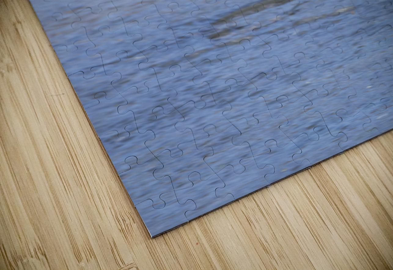 Goose in Flight Marc Gilbert Photography Puzzle