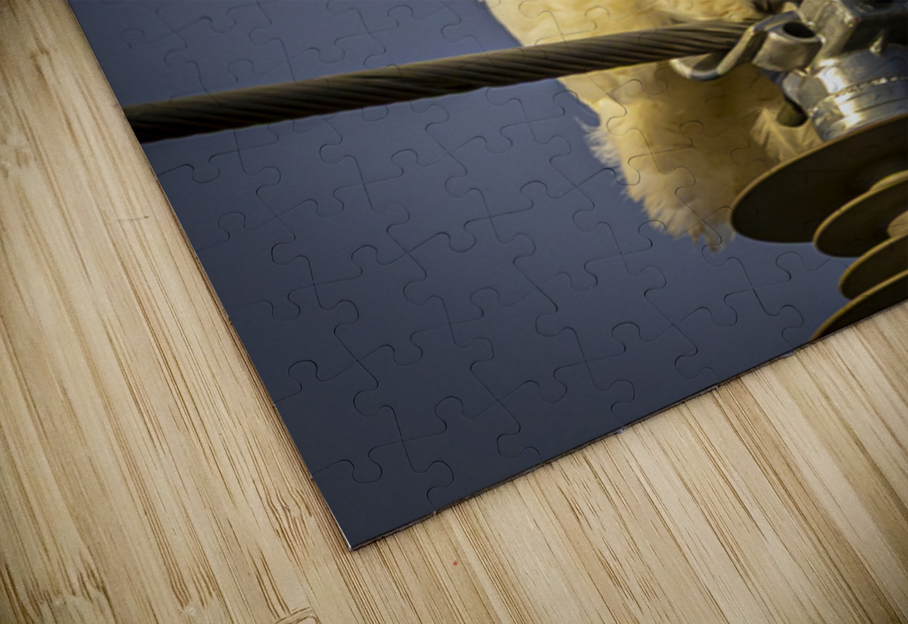 Snowy Owl in the Sun Marc Gilbert Photography Puzzle