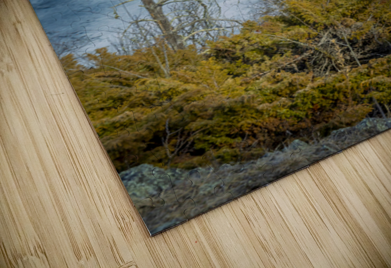 Ice Circles Marc Gilbert Photography Puzzle