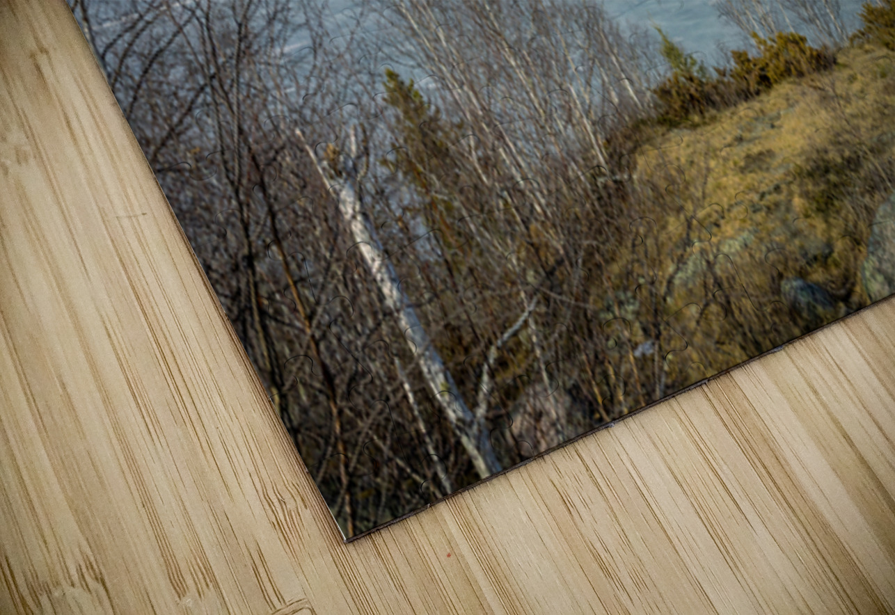 Island on West Hawk Lake Marc Gilbert Photography Puzzle