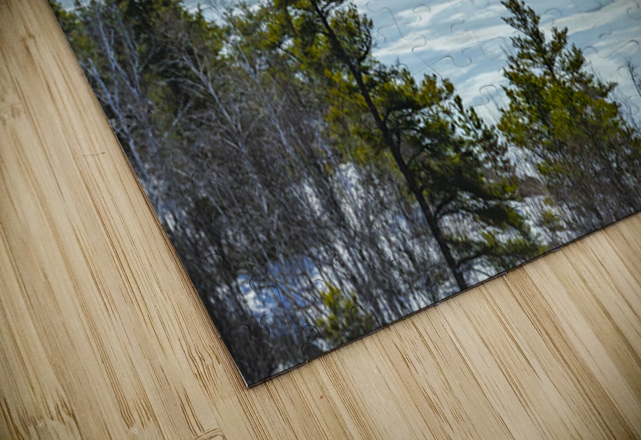 Lake Thaw on the Canadian Shield Marc Gilbert Photography Puzzle