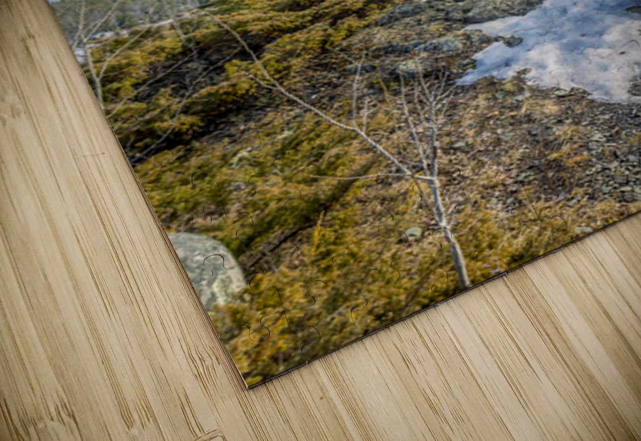 Dragon Fire Trail Marc Gilbert Photography Puzzle