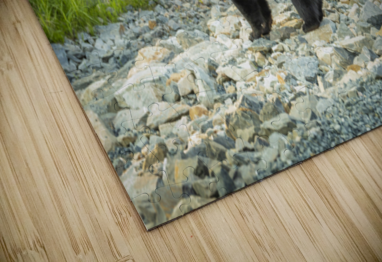 Mama Bear and its Cub Marc Gilbert Photography Puzzle