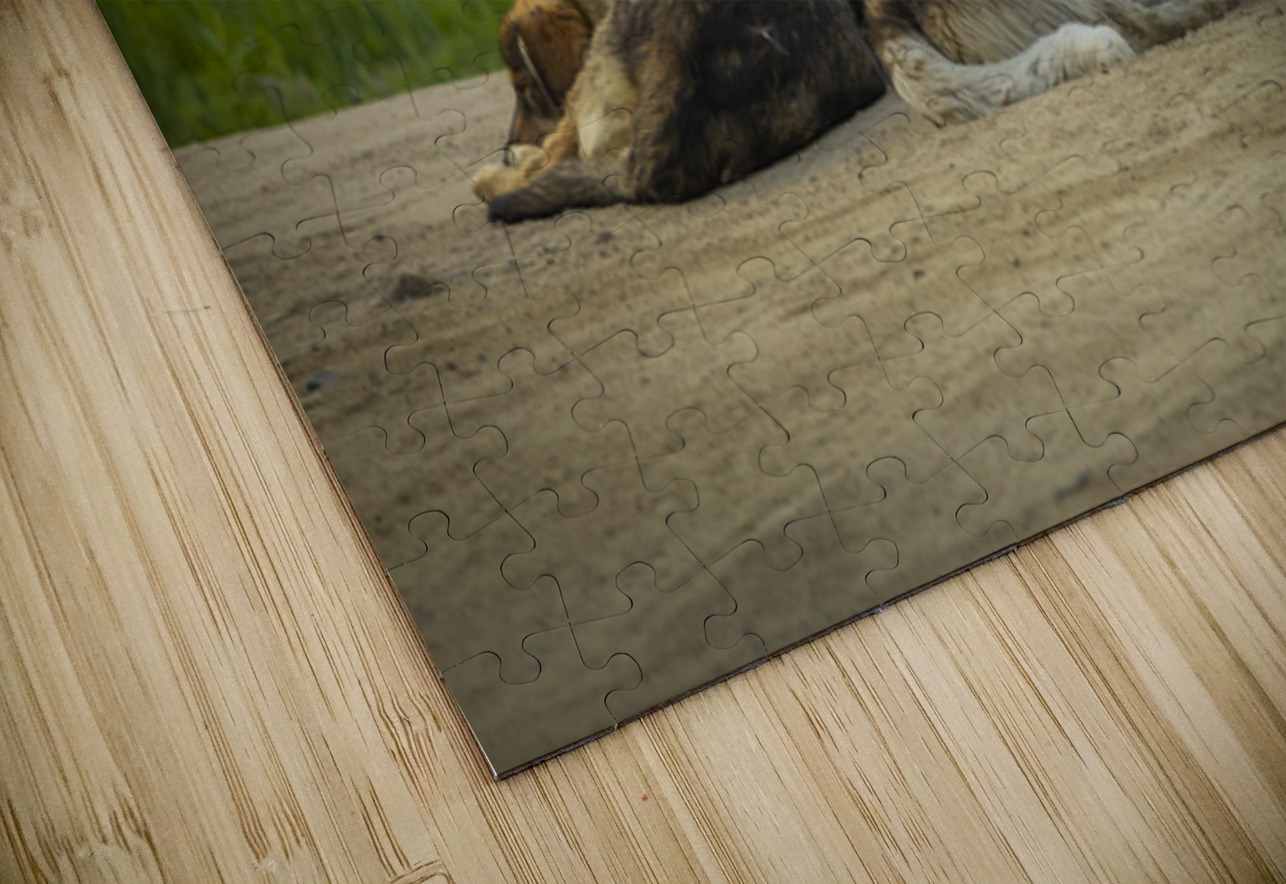 Rez Dogs Marc Gilbert Photography Puzzle