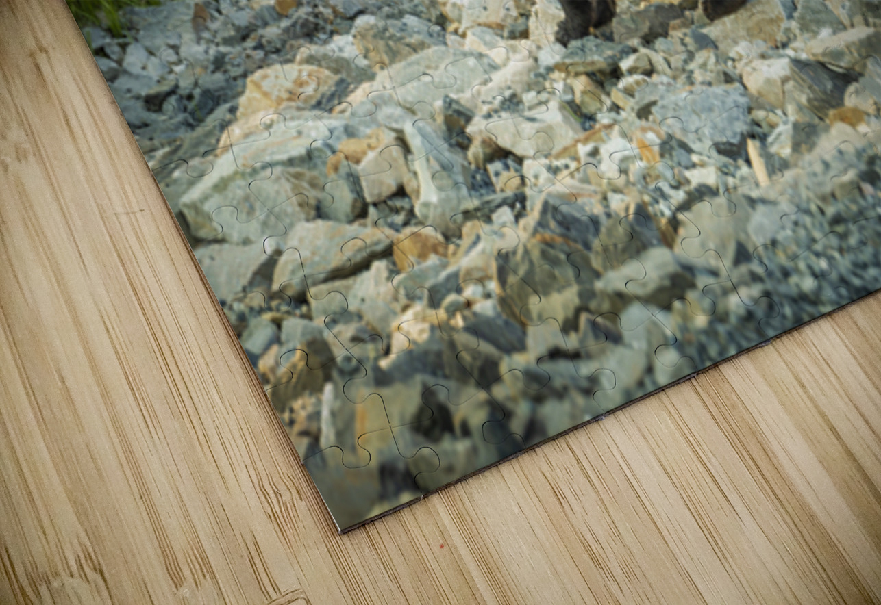 Mama Bear and its Cub Marc Gilbert Photography Puzzle