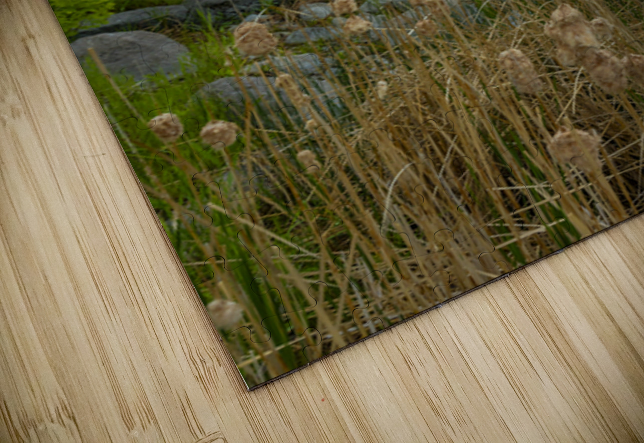 Morning on Shoal Lake Marc Gilbert Photography Puzzle