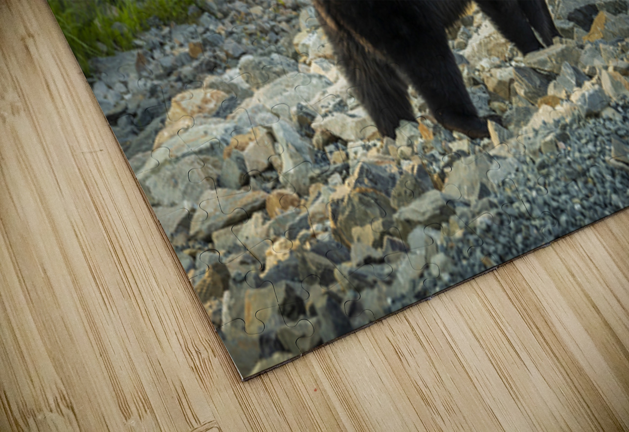 Mama Bear Marc Gilbert Photography Puzzle