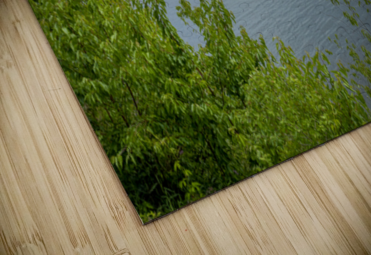 Lake of the Woods Shore Marc Gilbert Photography Puzzle