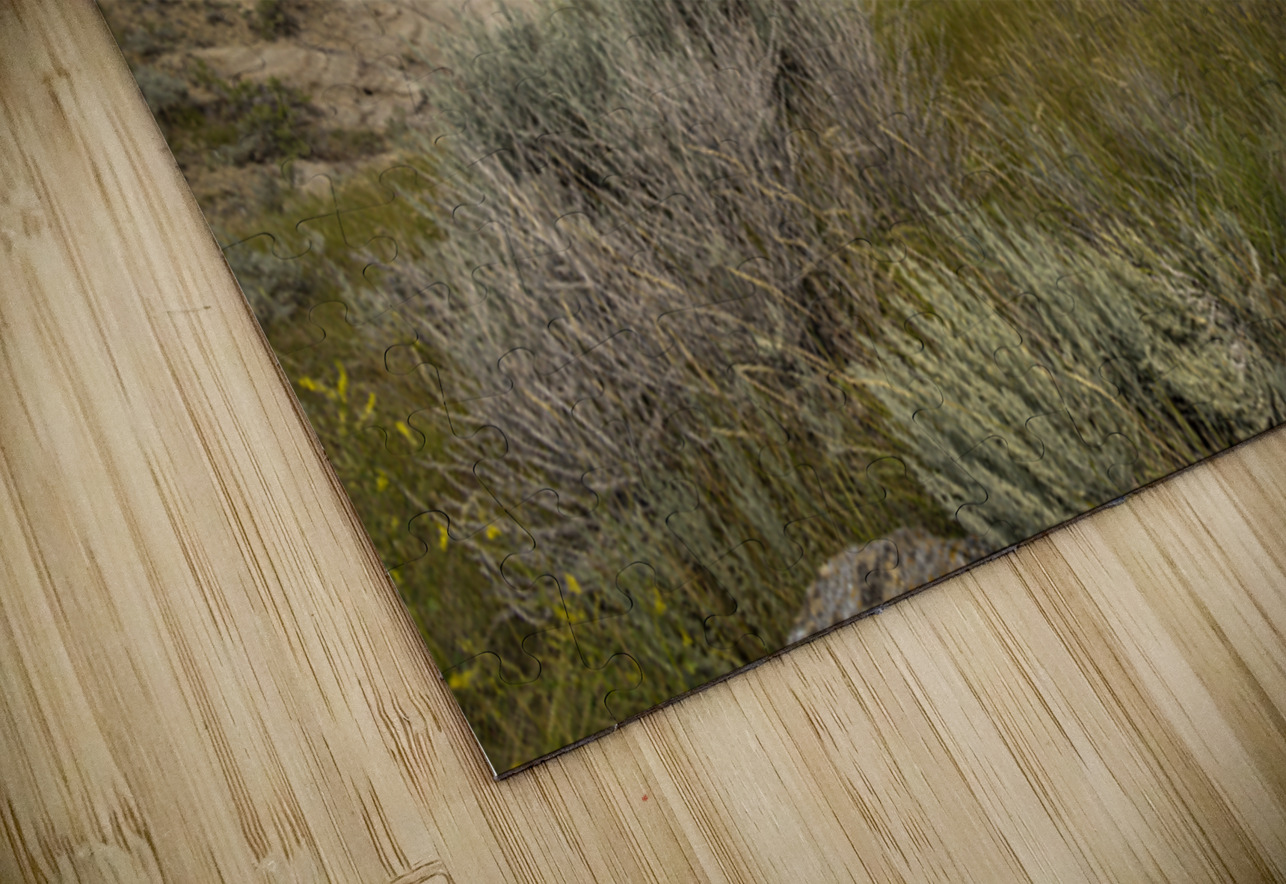 The Badlands Marc Gilbert Photography Puzzle