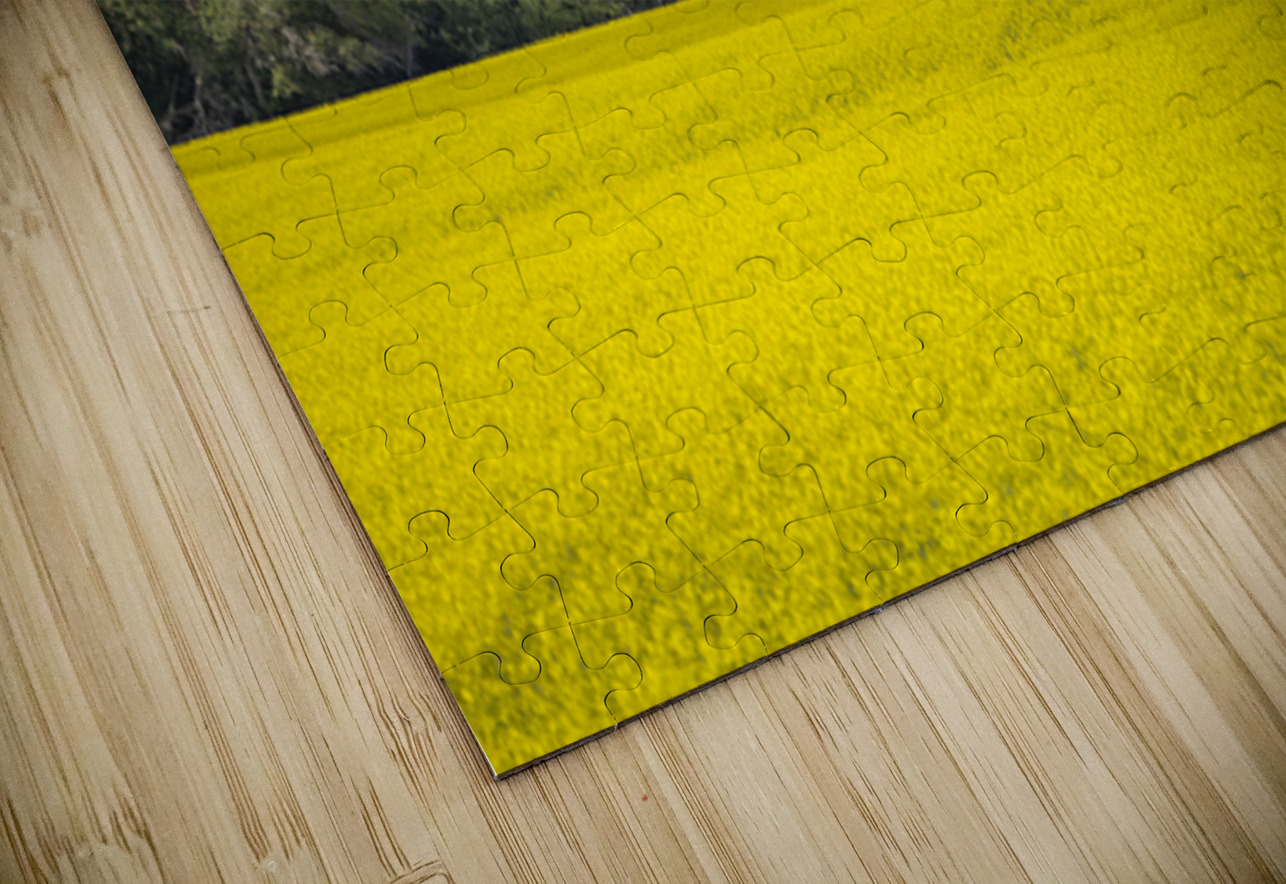 Old Barn and Canola Field Marc Gilbert Photography Puzzle