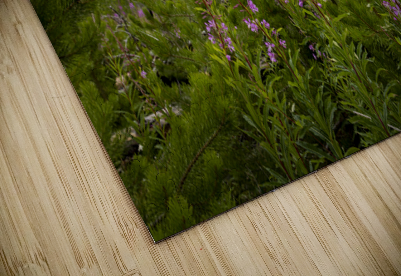 New Life Marc Gilbert Photography Puzzle