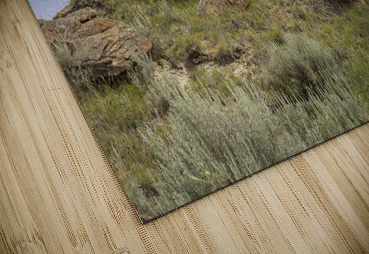 Whispers of the Badlands Marc Gilbert Photography Puzzle