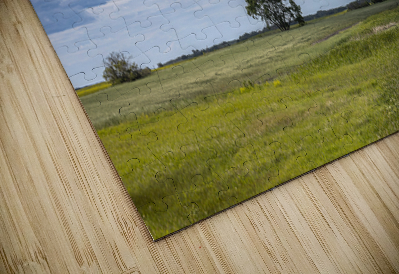 Lone Tree and Cloudy Sky Marc Gilbert Photography Puzzle