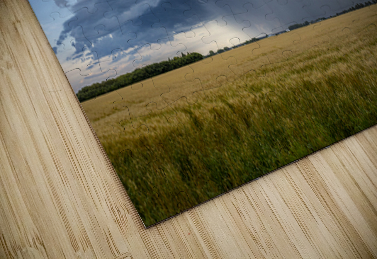 Atomic Rain Marc Gilbert Photography Puzzle