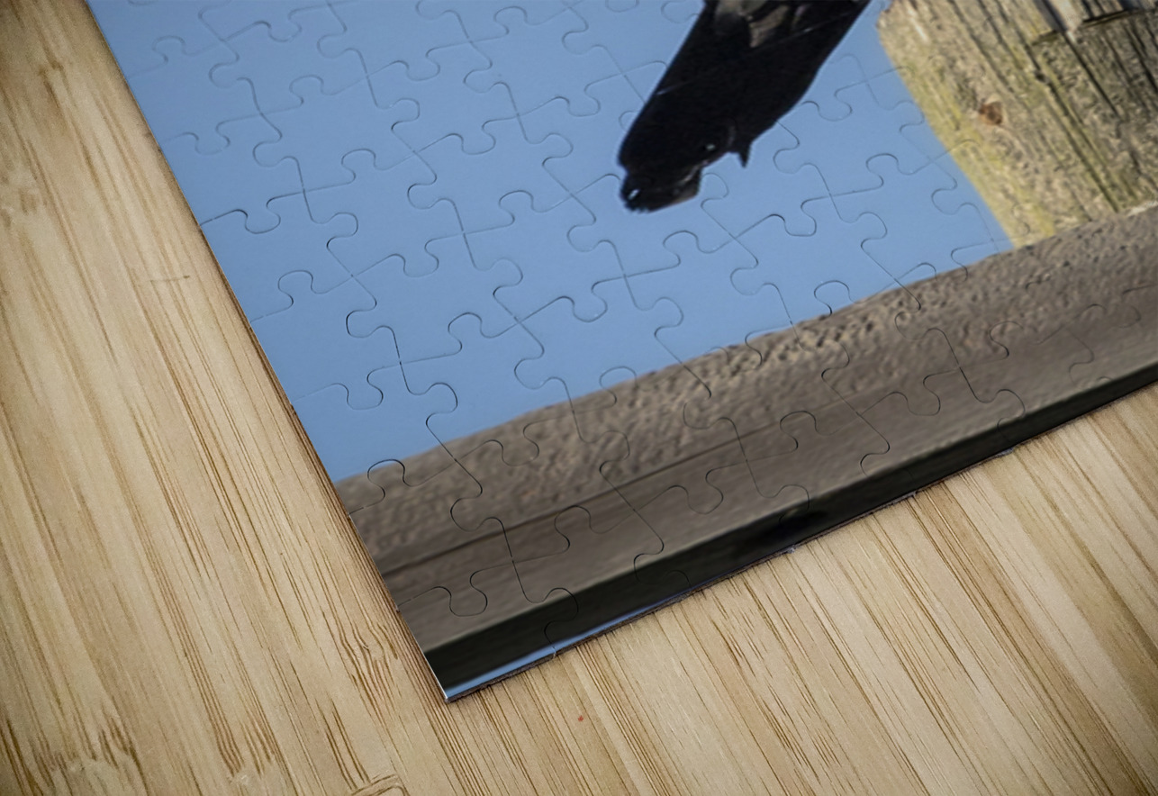 Raven on a Post Marc Gilbert Photography Puzzle