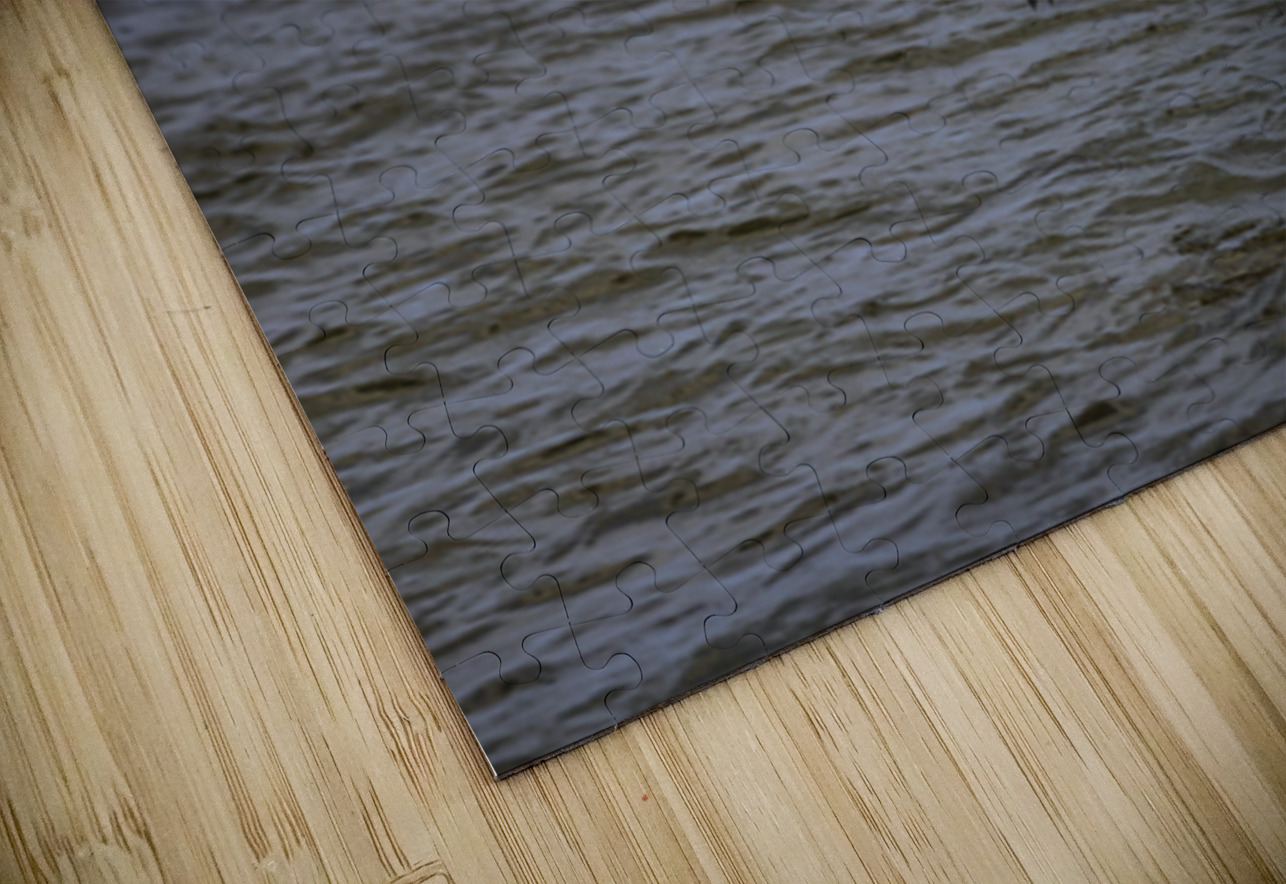 Pelican in Flight Marc Gilbert Photography Puzzle