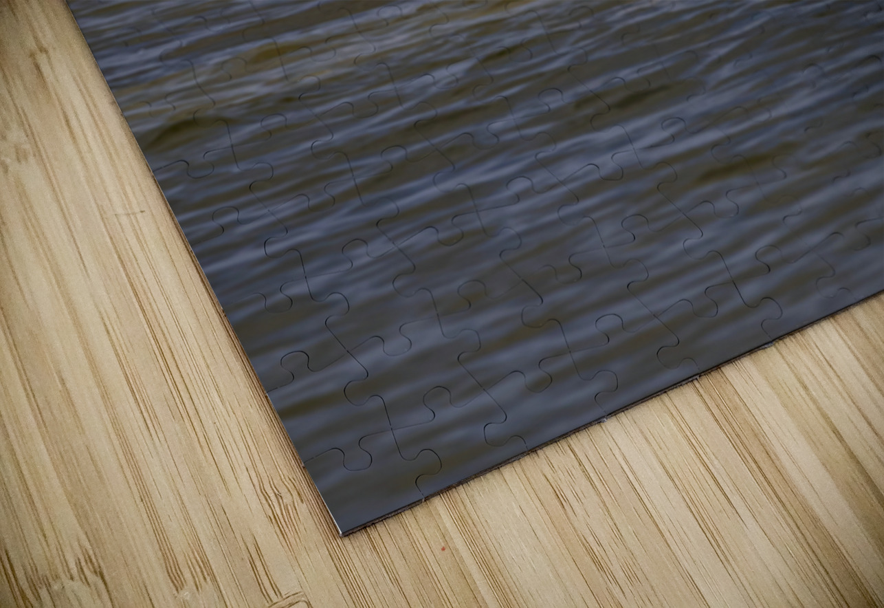 Pelican Contemplation Marc Gilbert Photography Puzzle