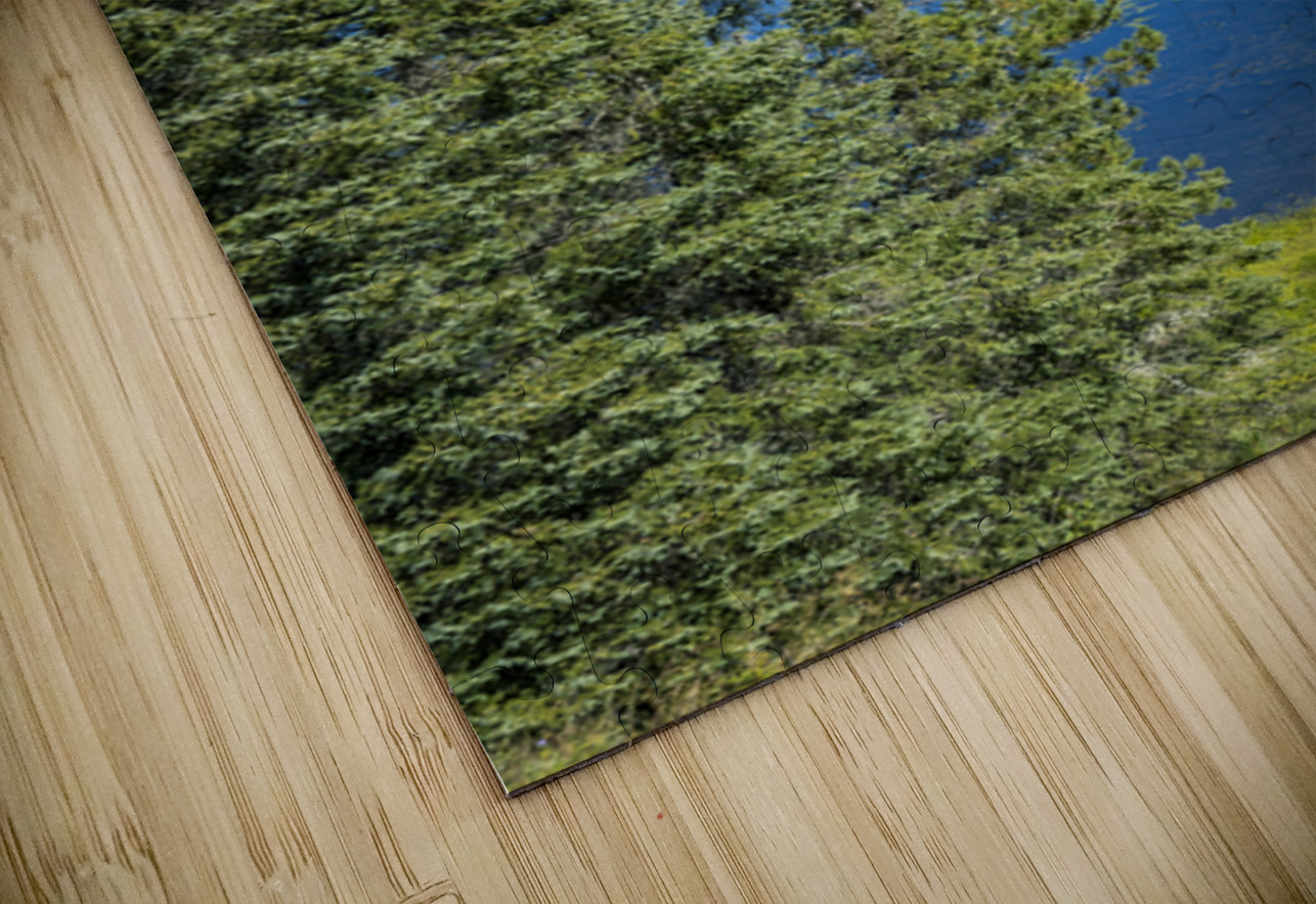 Tunnel Island Trail Marc Gilbert Photography Puzzle