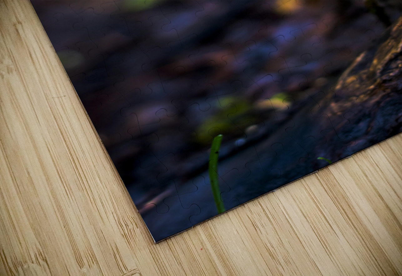 Witchy Mushrooms Marc Gilbert Photography Puzzle