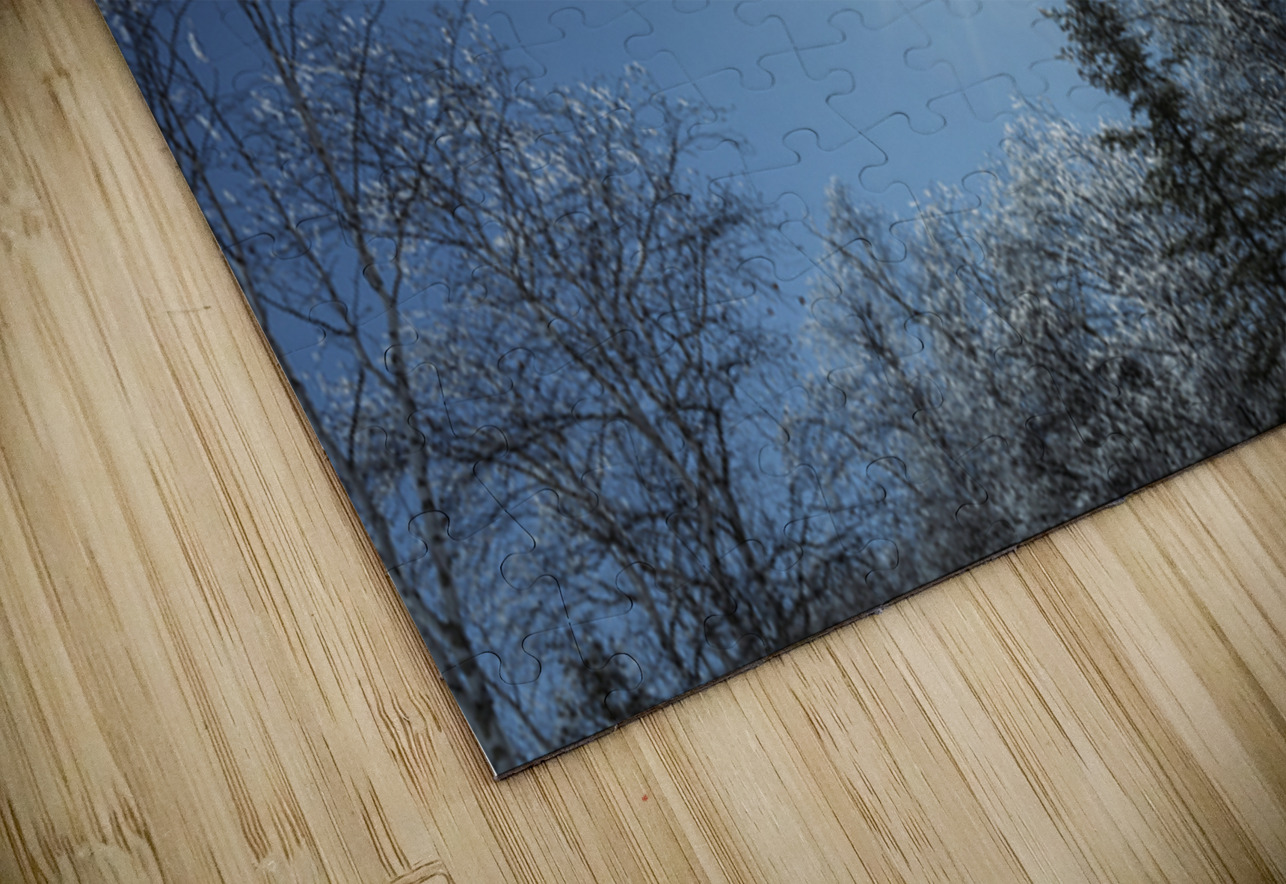 Winter Sunburst Marc Gilbert Photography Puzzle