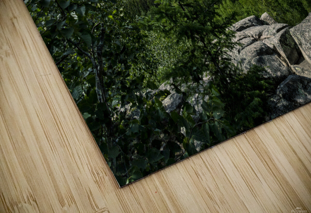 Top of the World Trail at Falcon Lake Marc Gilbert Photography Puzzle