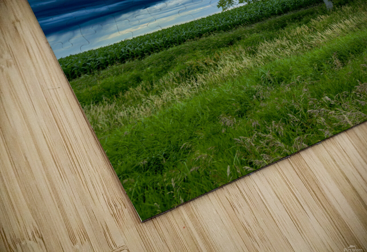 Lone Tree After the Storm Marc Gilbert Photography Puzzle
