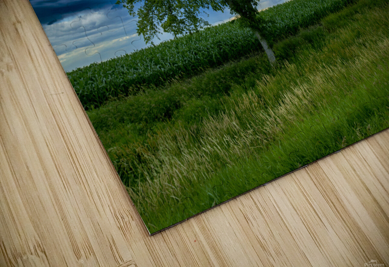 Lone Tree After the Storm Marc Gilbert Photography Puzzle