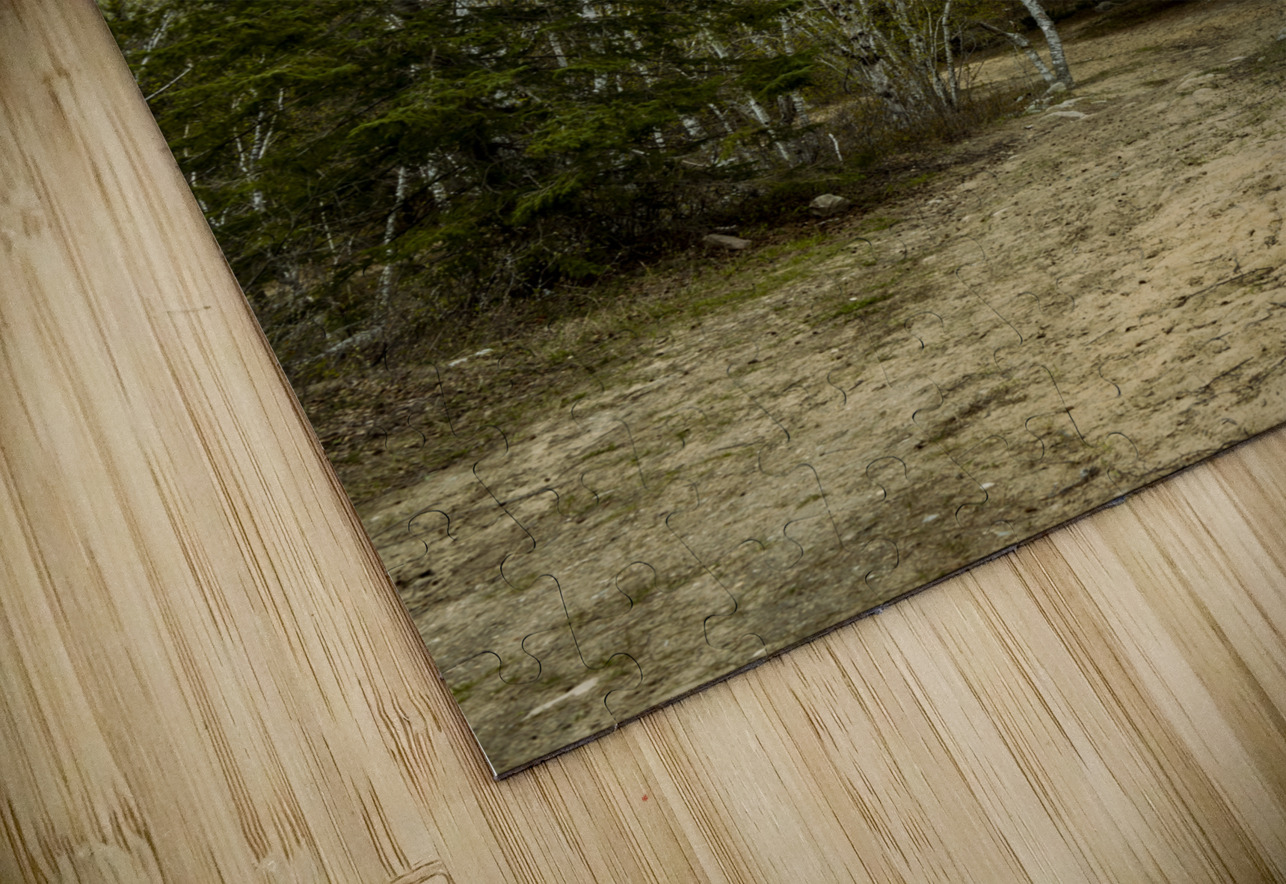 Ancient Beach Trail Marc Gilbert Photography Puzzle