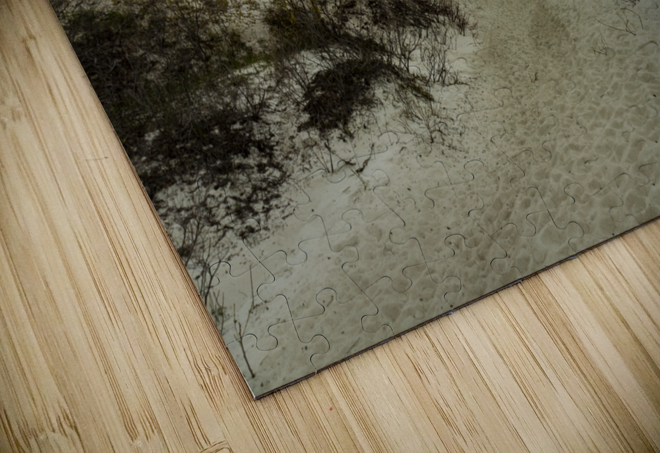 To the Beach Marc Gilbert Photography Puzzle