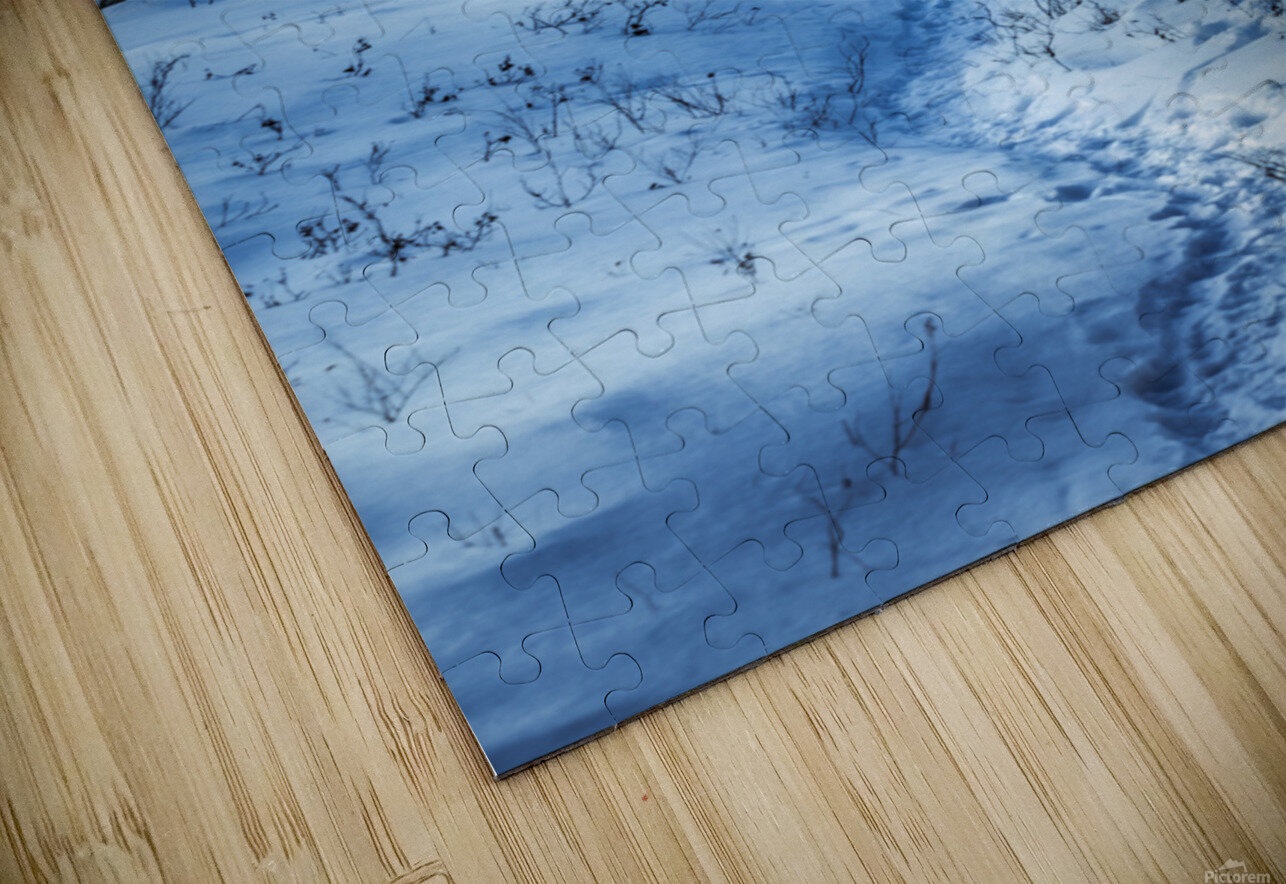 Winter Trail Marc Gilbert Photography Puzzle