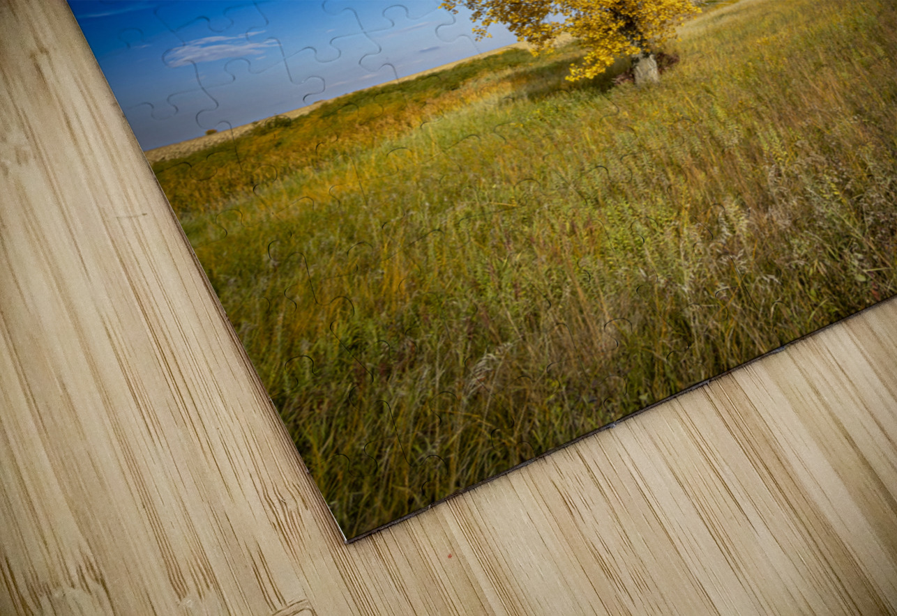 Lone Trees in the Fall Marc Gilbert Photography Puzzle