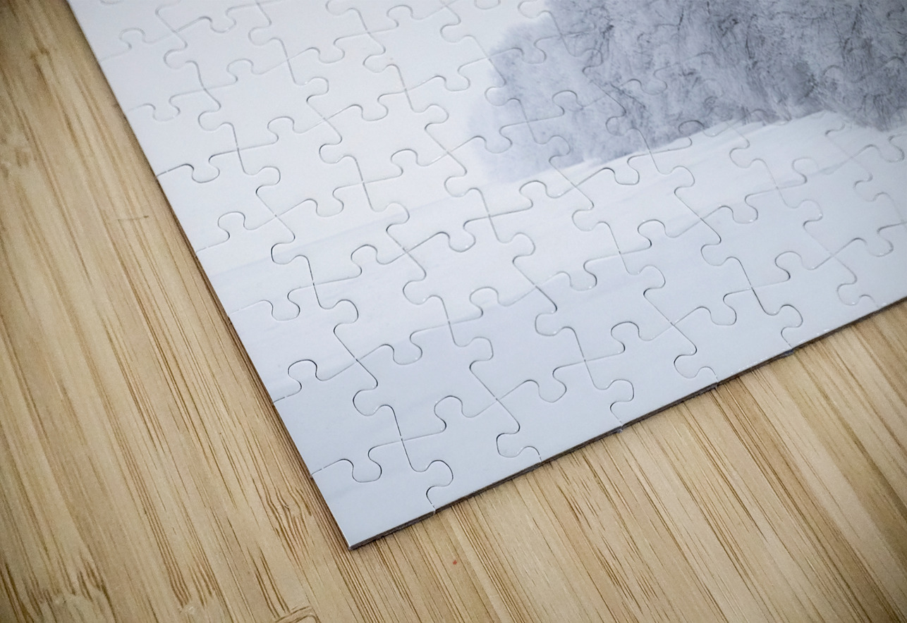 Tree Row in Hoarfrost Marc Gilbert Photography Puzzle