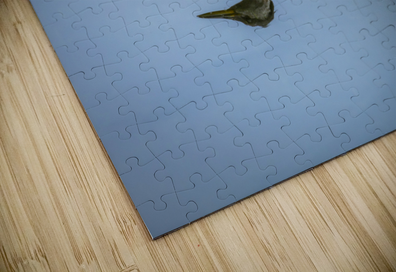 Duck Reflection Marc Gilbert Photography Puzzle