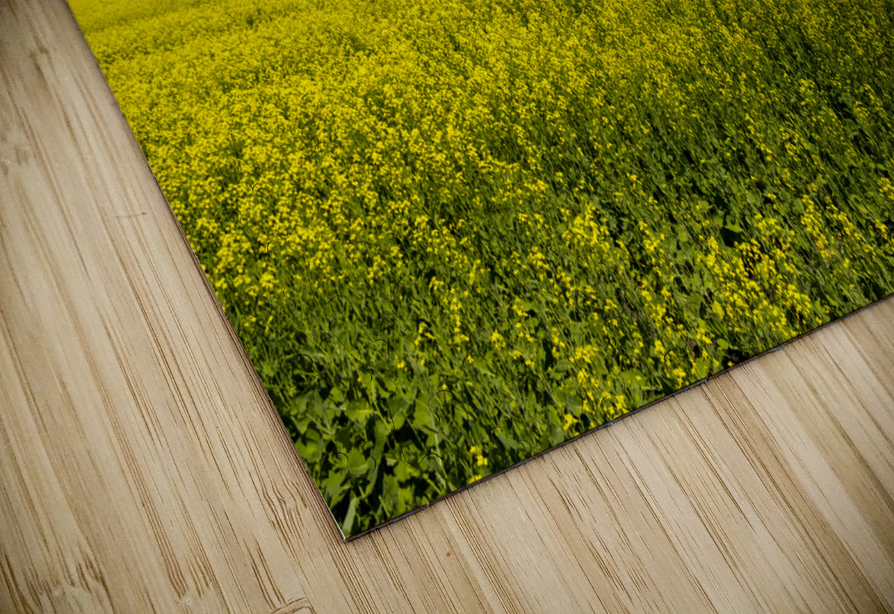 Blue and Yellow Marc Gilbert Photography Puzzle