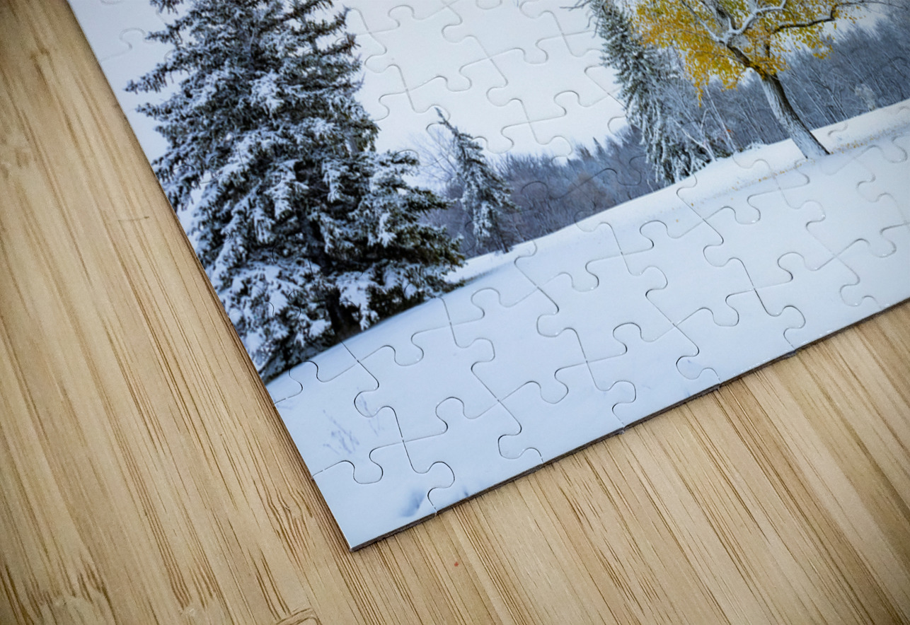 Trees Under the First Snow Marc Gilbert Photography Puzzle