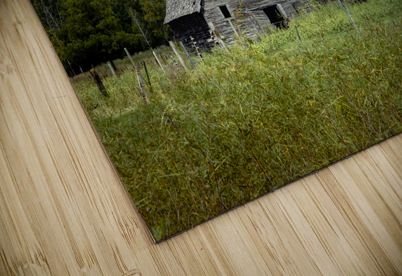Old Barn on a Cloudy Day Marc Gilbert Photography Puzzle