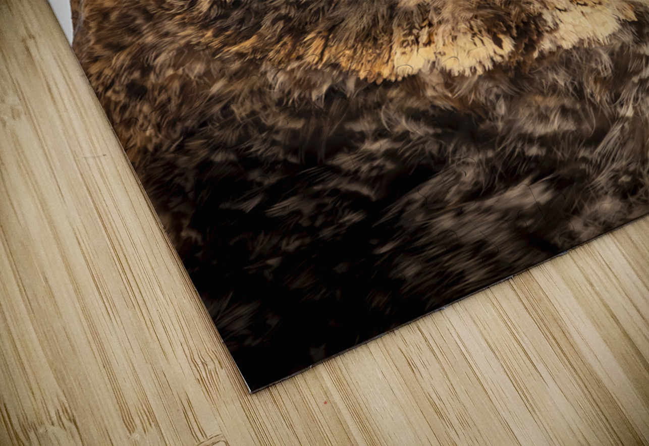 Owls Gaze Marc Gilbert Photography Puzzle