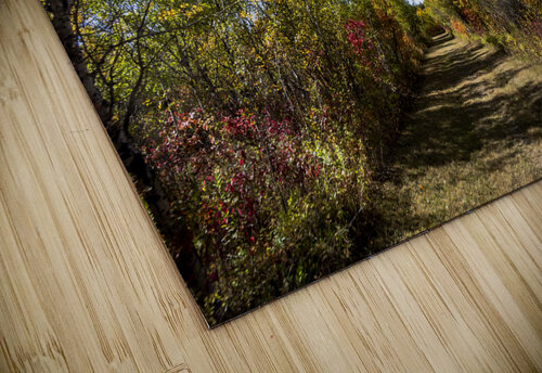 Trail in the Fall Marc Gilbert Photography puzzle