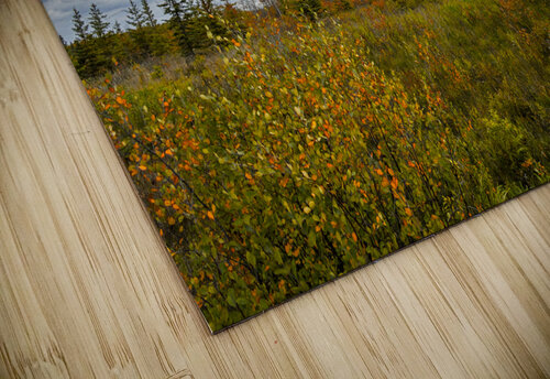 Moody Fall Marc Gilbert Photography puzzle