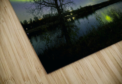 Comet Fall Aurora by lone Tree Marc Gilbert Photography puzzle