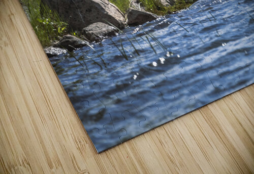 Blue Herons Flight Marc Gilbert Photography puzzle