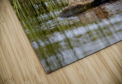 Painted Turtle Marc Gilbert Photography puzzle