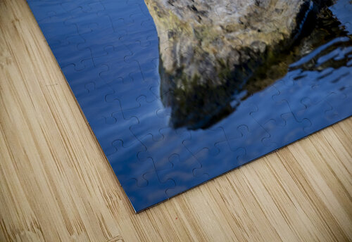 Painted Turtle Marc Gilbert Photography puzzle