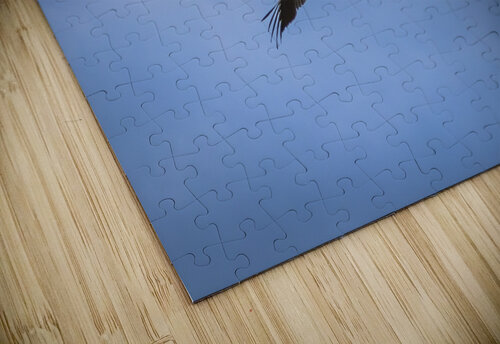 Pelican Marc Gilbert Photography puzzle