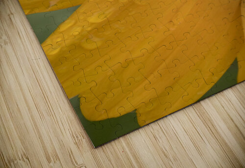 Sunflower Marc Gilbert Photography puzzle